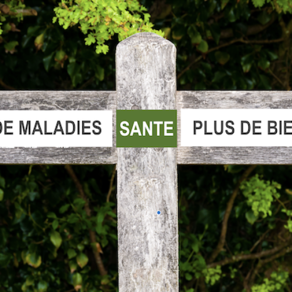 Une santé orientée sur la maladie ou le bien-être ?